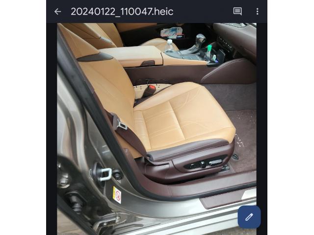Lexus ES 300h luxury-1336
