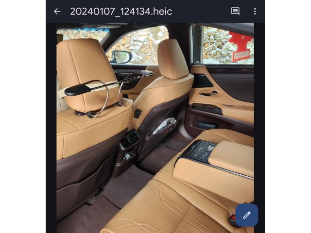 Lexus ES 300h luxury-2736